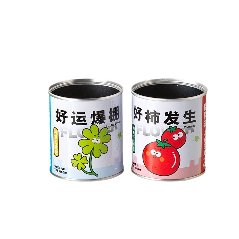 Online celebrity blessing potted green plant tomato seeds canned plant desktop creative children DIY gift factory wholesale