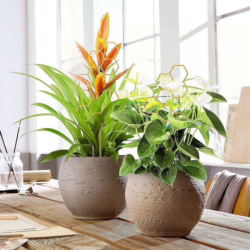 Betula Cedar gardening climbing frame plant bracket Mountain Turtle support Rod honeycomb iron frame creative plant fixing Rod