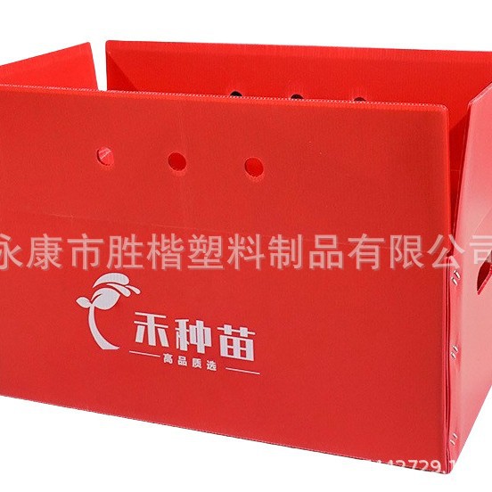 Discounted Hollow Board Turnover Boxes for Seedlings in Jiangsu, Zhejiang, and Shanghai; Suitable for Wooden Seedlings, Chili Seedlings, and Vegetable Seedlings; Can Be Drilled for Ventilation and Does Not Crush Seedlings