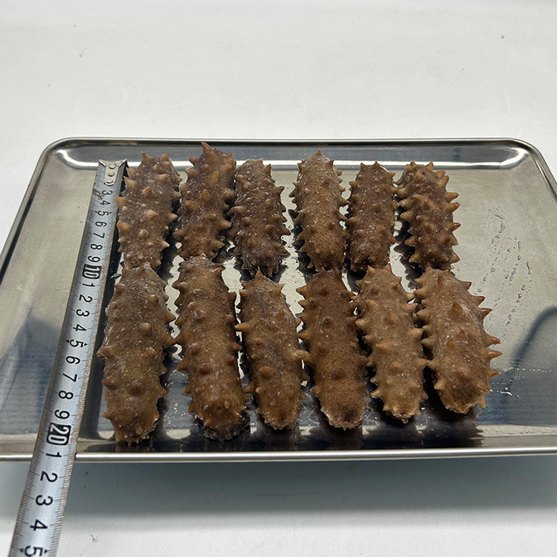 Manufacturer Fresh Dalian Ready-To-Eat Sea Cucumber Liaosheng Sea Cucumber Gift Box Dalian Fresh Sea Cucumber Sea Cucumber Ready-To-Eat Sea Cucumber Wholesale