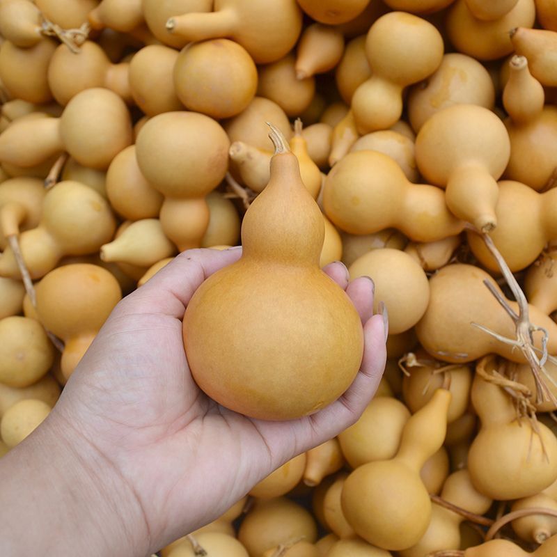 Natural Gourd Ornaments Large Handlehold Car Carry-on Pendant Home Craft Accessories Hand-Twisted Cultural Play Gourd