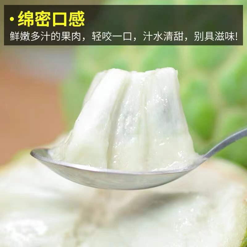 Guangzhou Jiangnan Wholesale Direct Delivery [] Thai Large-Eyed Sakyamuni Fruit Imported Papaya 5kg Fresh Fruit Special Grade