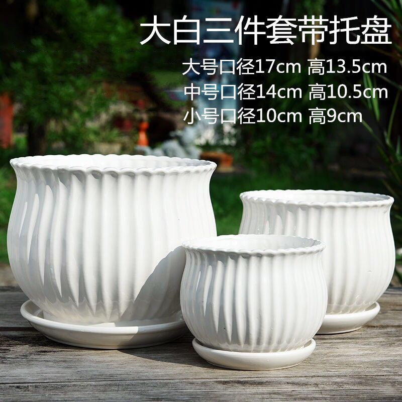 Flower Pot Ceramic Large Size Household Simple with Tray Creative Green Dendrocalamus Fleshy Small Flower Pot