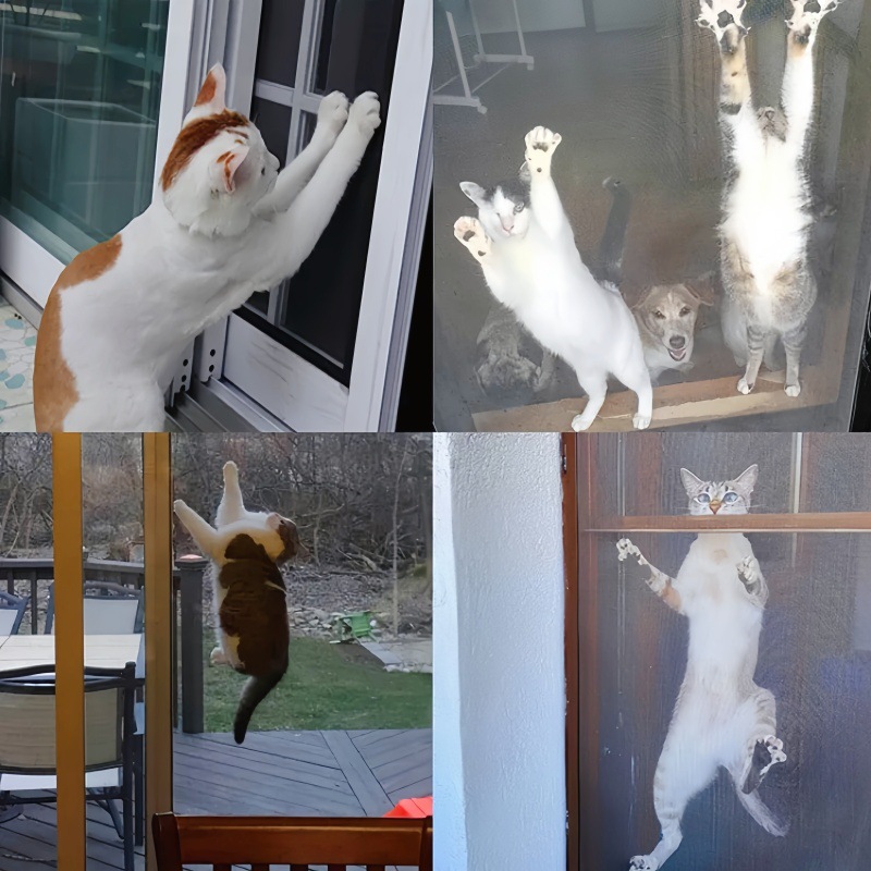 Factory wholesale anti-pet gauze beach net Teslin gauze anti-cat net