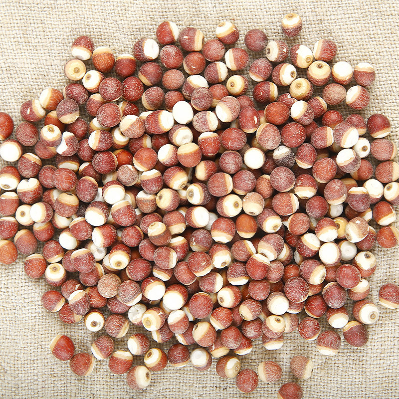 Chinese Herbal Medicine Dry Goods Gorgon Large Capsuless Full of High-Quality Chicken Head Rice Factory Direct Supply Red Skin Round Capsuless Gorgon Wholesale