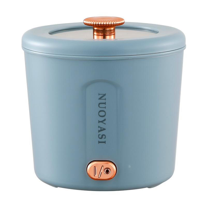 Cross-Border 110V Mini Electric Cooker, Electric Hot Pot, Electric Steamer All-In-One, Dormitory Travel Electric Hot Pot, Small Instant Noodle Cooker