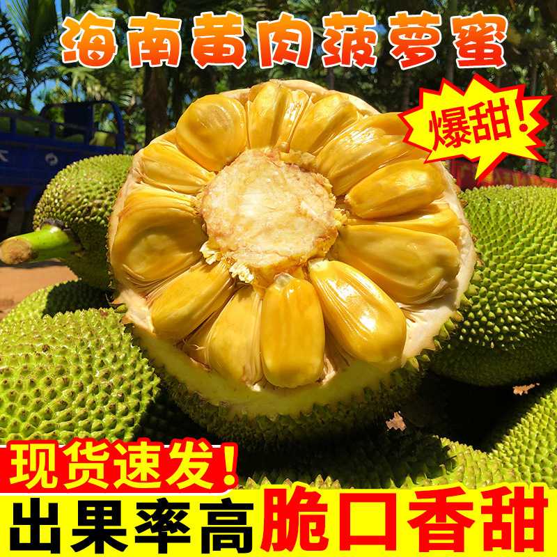 Свежий фрукт джекфрут Хайнань, бесплатная доставка, 20кг, джекфрут с желтой мякотью, целый фрукт, свежая целая коробка, сезонный красный
