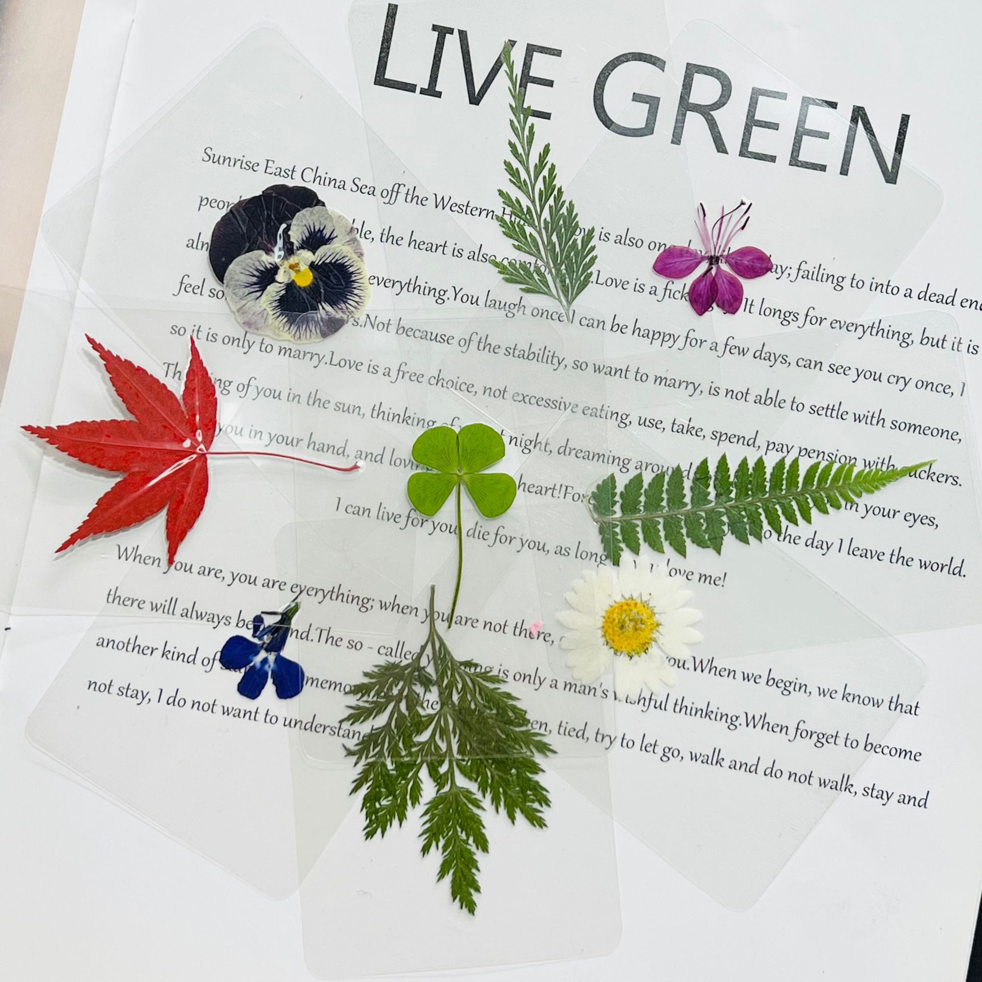 Образец листа растения, пластиковая карточка, наклейка с настоящими листьями, детский сад, узнайте о листьях, сухие цветы, закладка с венами листа