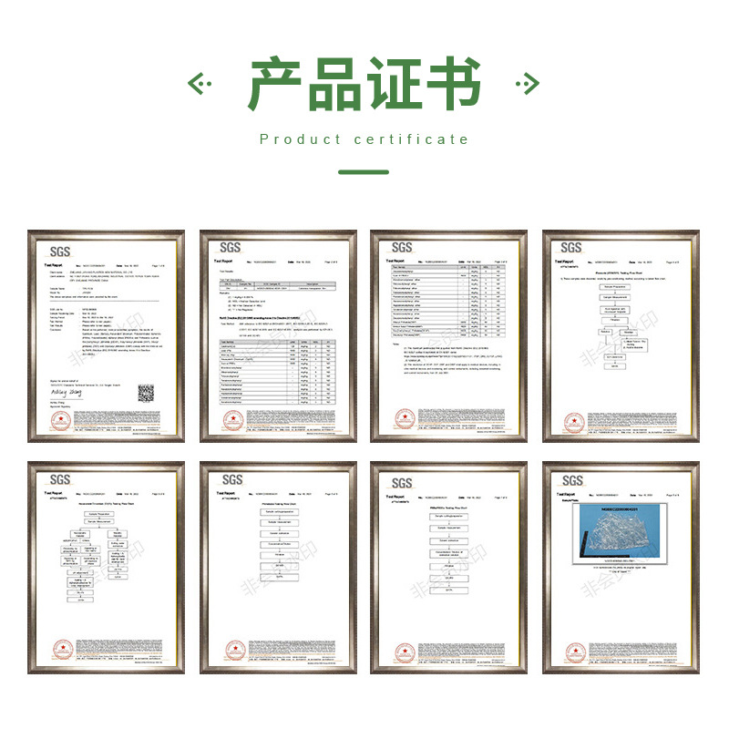 Color Transparent Double Pocket Folder pp Double Pocket Folded Meeting Report Data Storage Holder Plastic Tadpole Holder