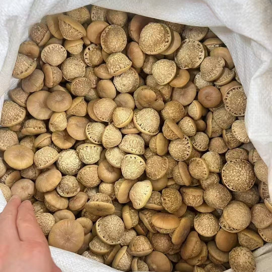 Wholesale Turtle Head, Tianzhu Seeds, Turtle Head, Fengliu Fruit, New Arrivals, Street Stall Supply, Soaked in Wine and Powdered