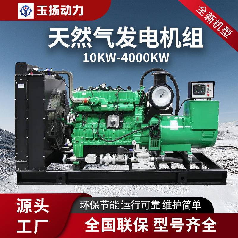 Экспортный российский генератор на природном газе, многофункциональный бесшумный ящик, резервный LNG генератор для шахты