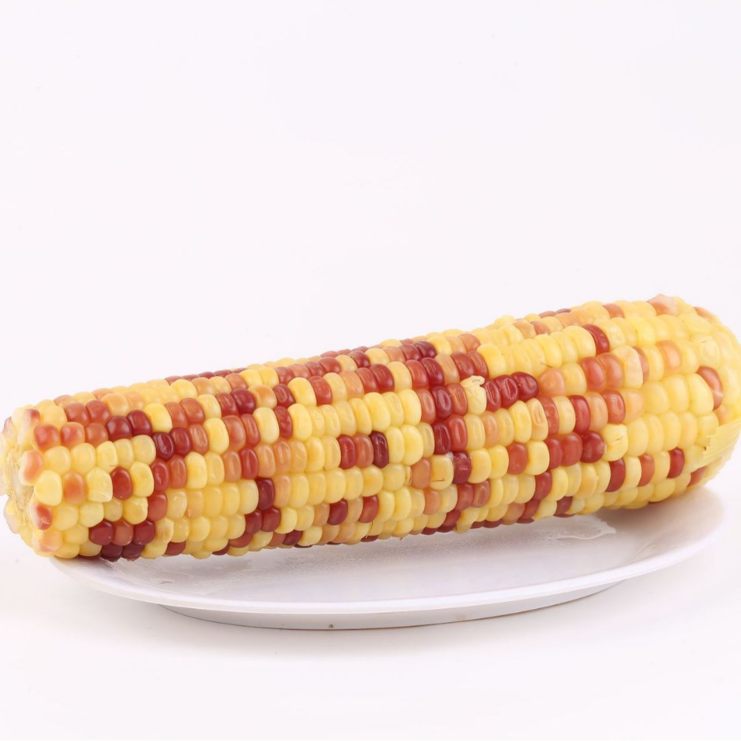 Special flower Sweet glutinous 12 independent packaging nutrition breakfast snacks northeast specialty quick-frozen incubator + ice bag