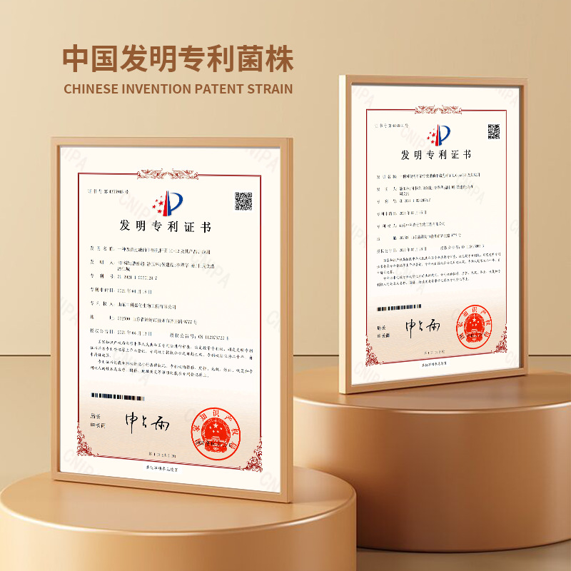 Daily Fruit and Vegetable Powder 500g Fruit and Vegetable Powder Meal Replacement Fruit and Vegetable Dietary Fiber Wholesale Delivery Free Shipping Natural Fruit and Vegetable Powder