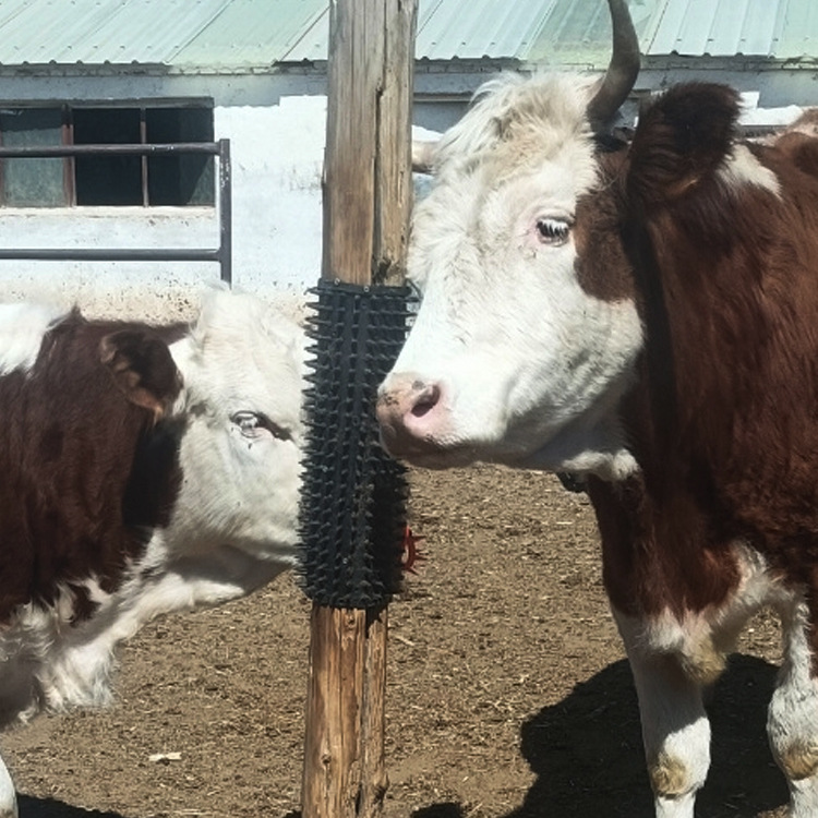 Temu Hot-Selling Pastoral Farm Farm Cattle Body Brush Cow Scratching Artifact Cow Horse Sheep Scratching Cow Body