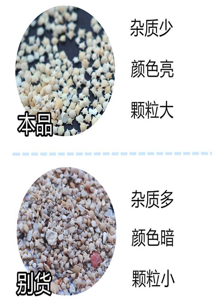 Sand Uv Glue Shell Conch Crafts Shell Conch Decoration Mini Sea Sand