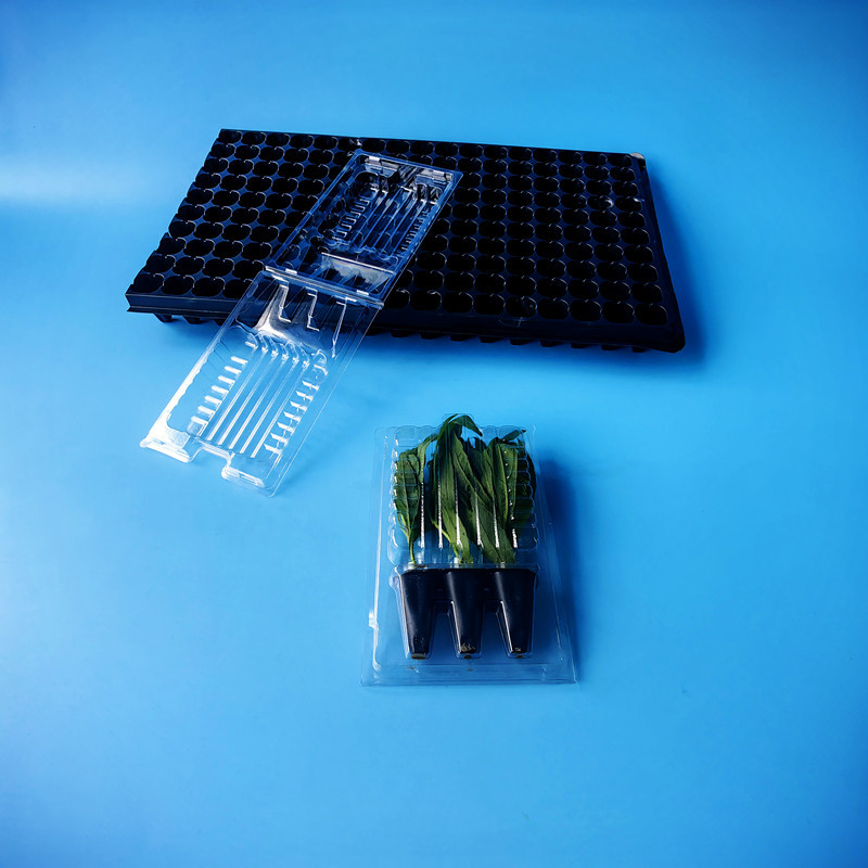 Коробка для транспортировки рассады, упаковка для цветочных рассады