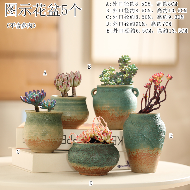 Simple Succulent Flowerpot Ceramic Small Flowerpot Creative Desktop Personalized Succulent Plant Stoneware Breathable