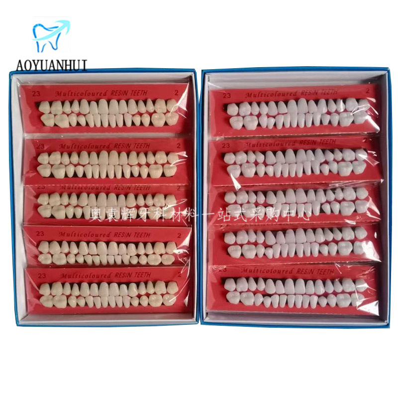 28 пластиковых зубов для студентов, материалы для обучения стоматологии с протезами
