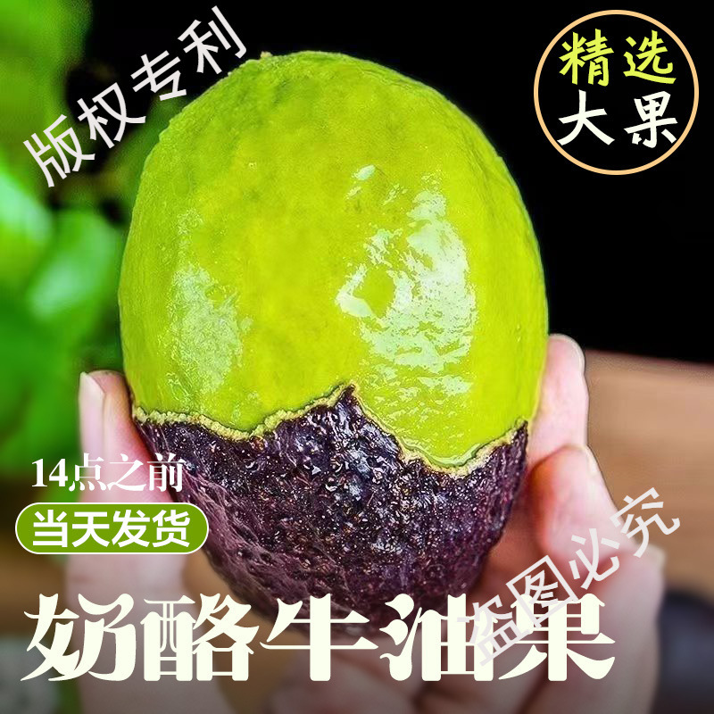 Перуанские авокадо Хасс, 10 свежих фруктов, сезонная целая коробка, бесплатная доставка, первоклассное детское питание