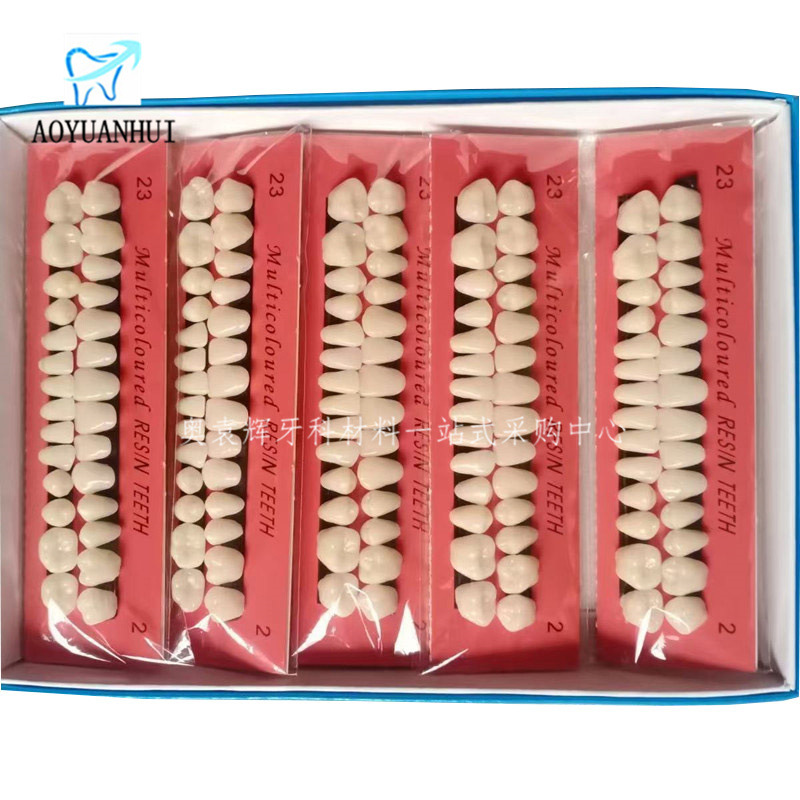 28 Student Practice Teeth Plastic Teeth Dental Oral Materials Teaching Mold with Dentures