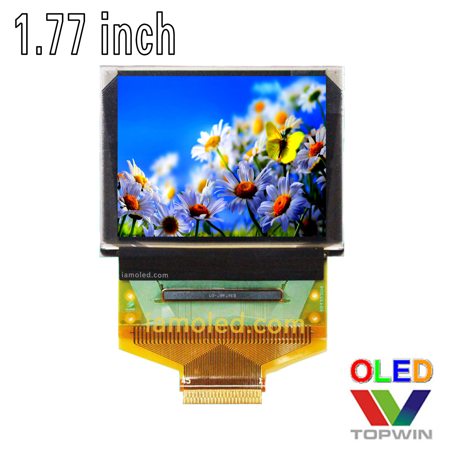 1.77-inch color extension cable oled LCD screen QG-6028GDEAF02 extension 45pin connector
