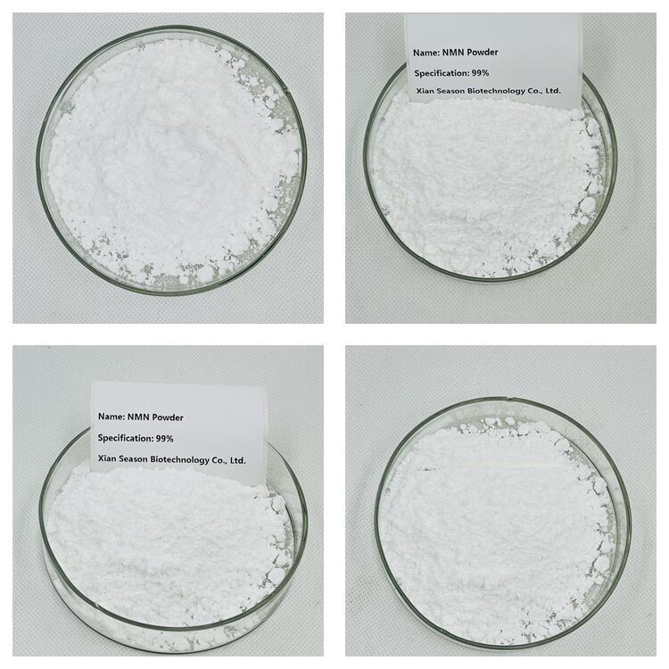 Β-nicotinamide mononucleotide NMN99.9%NAD + Enzymatic Method with SGS External Inspection 10g Delivery Spoon