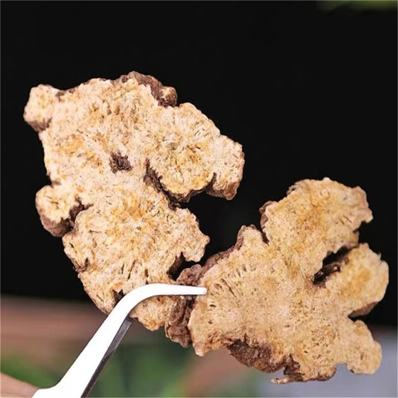 New Genuine Atractylodes Tea, Roasted Atractylodes, Not Wild, Can Be Ground into Powder, Also Includes Phellodendron and Atractylodes