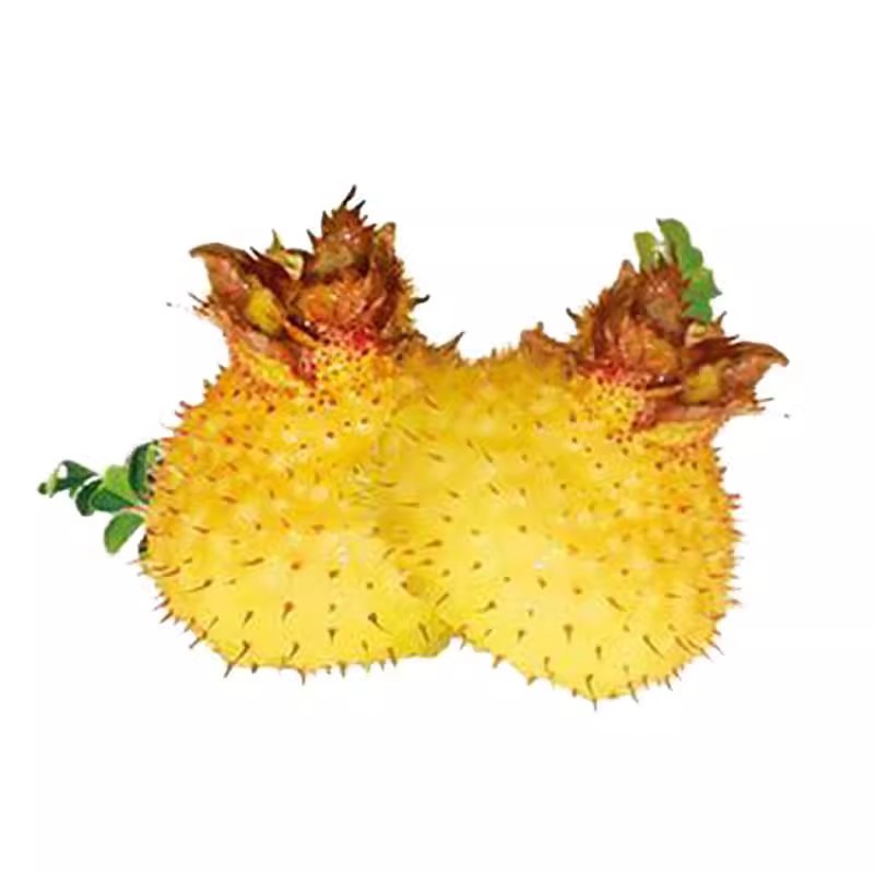 Guizhou Specialty Prickly Pear Fresh Fruit Authentic Guizhou Prickly Pear Large Fruit Natural Freshly Squeezed Vitamin C King Whole Box New Goods