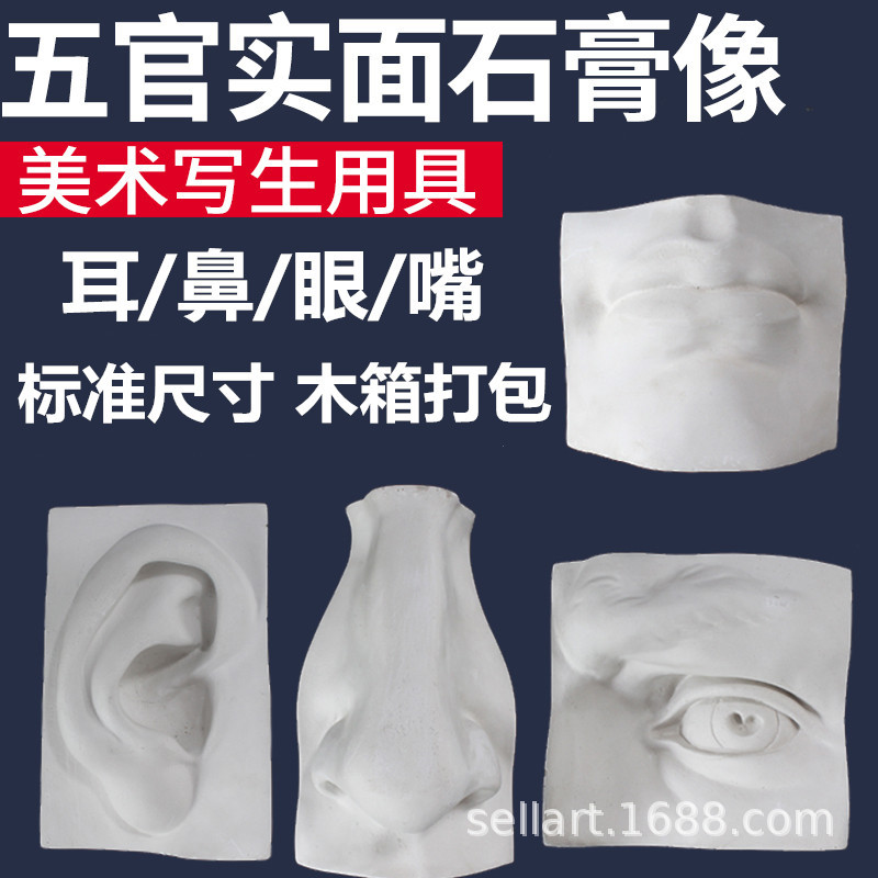 Гипсовая статуя лицевых черт, реальное лицо, учебные пособия, декор, натюрморт