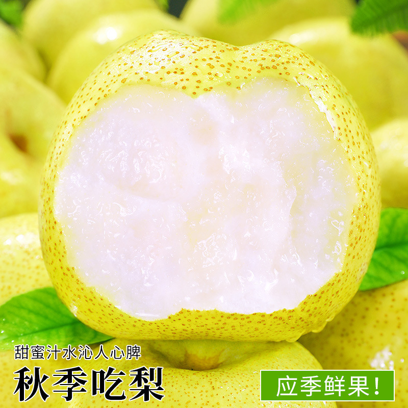 Hot-Selling Anhui Dangshan Crispy Pears 5kg Pears Fresh Fruit Seasonal Whole Box Free Shipping Specialty Fragrant Crispy Pears