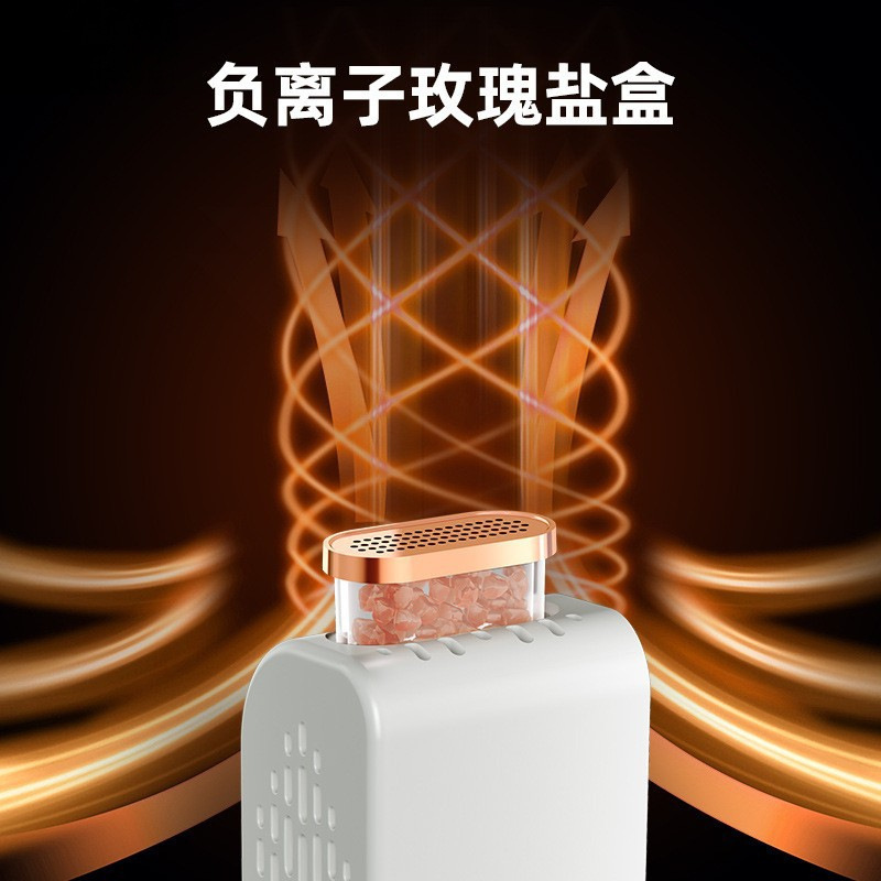 Yangtze Shoe Dryer Portable Shoe Dryer Folding Timing Shoes Blue Light Deodorizing Drying Handy Gadget