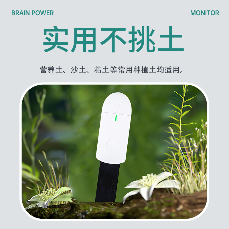 Intelligent Soil Moisture Meter Test Measurement Detector Thickened Moisture Meter Flower Plant Flowerpot Vegetable Machine