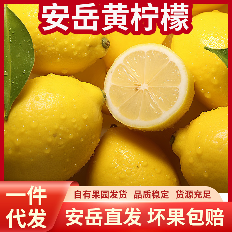 Оптовая продажа свежих лимонов Сычуань Аньюэ первого сорта, супер желтые лимоны, прямая поставка от оптовика