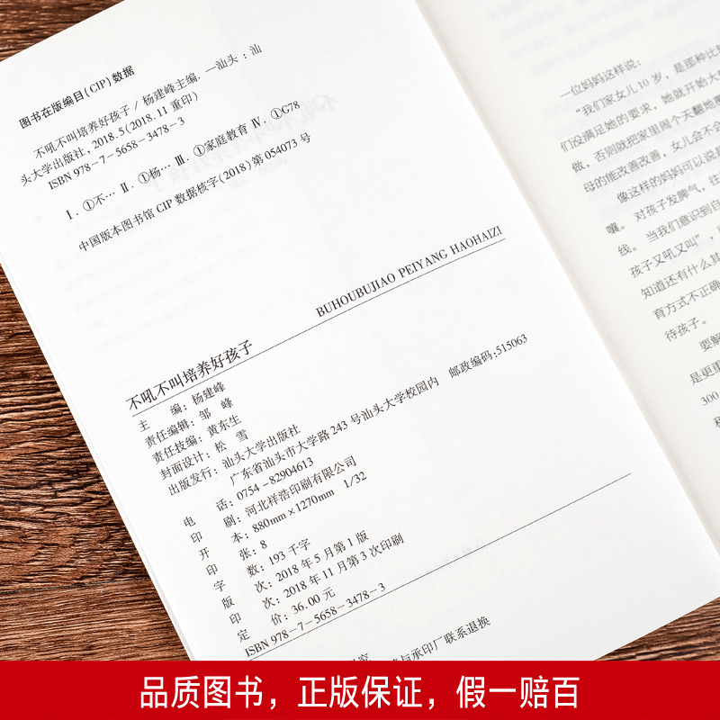 A Good Mother Raises Good Children Without Yelling or Shouting. Authentic Books. Parenting Books for Educating Children. Parenting Books