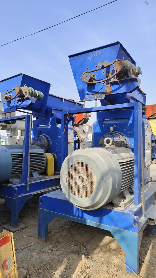 Biomass Pellet Pelletizing Machine Wood Sawdust Pellet Production Line Equipment Household Garbage Granulator