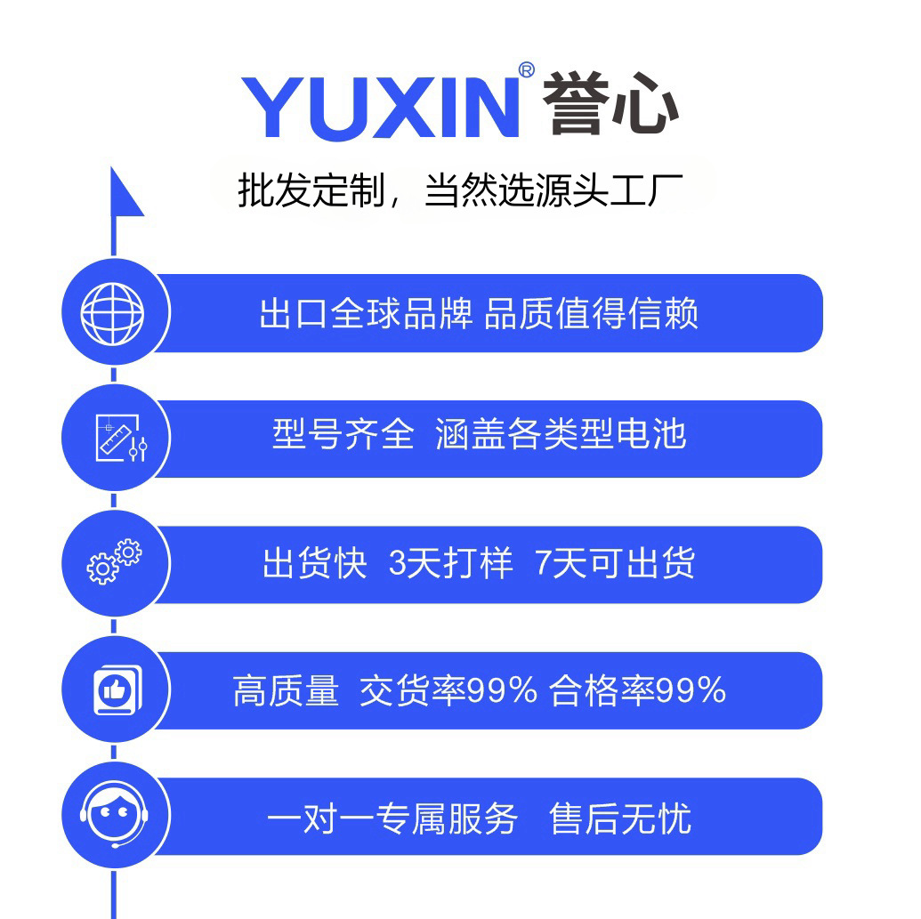 955465 Polymer 5000Mah 955565 Lithium Battery Small Appliance Lithium-Ion Battery Lithium Battery Pack