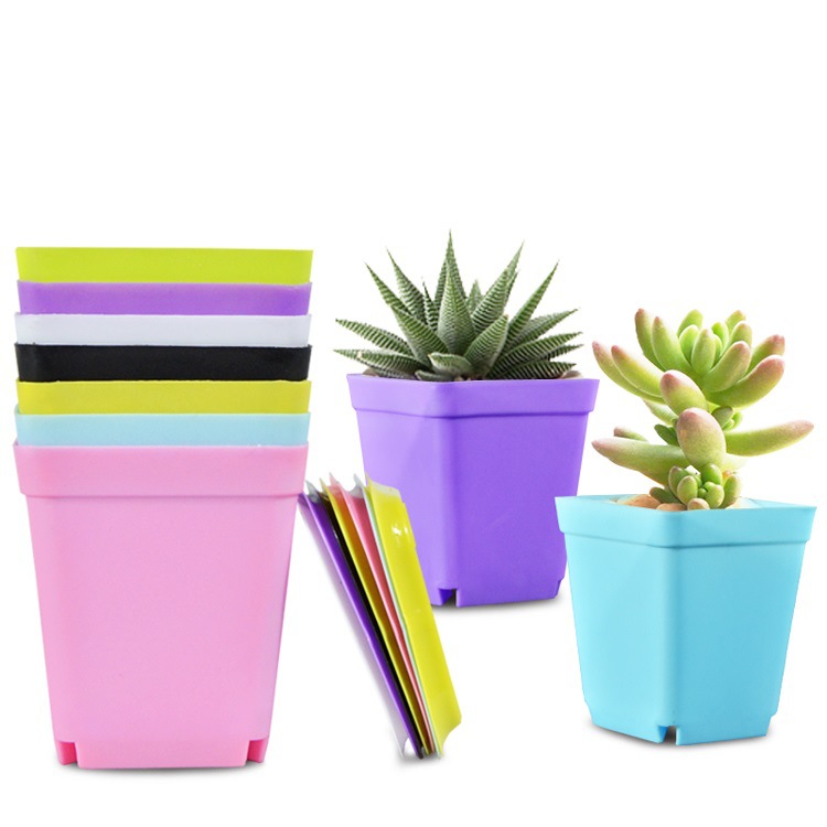 New Mini Small Square Pot Seven-Colorful Small Flower Pot Succulent Pot Small Black Square Plastic Pot Seedling Pot Manufacturer Wholesale