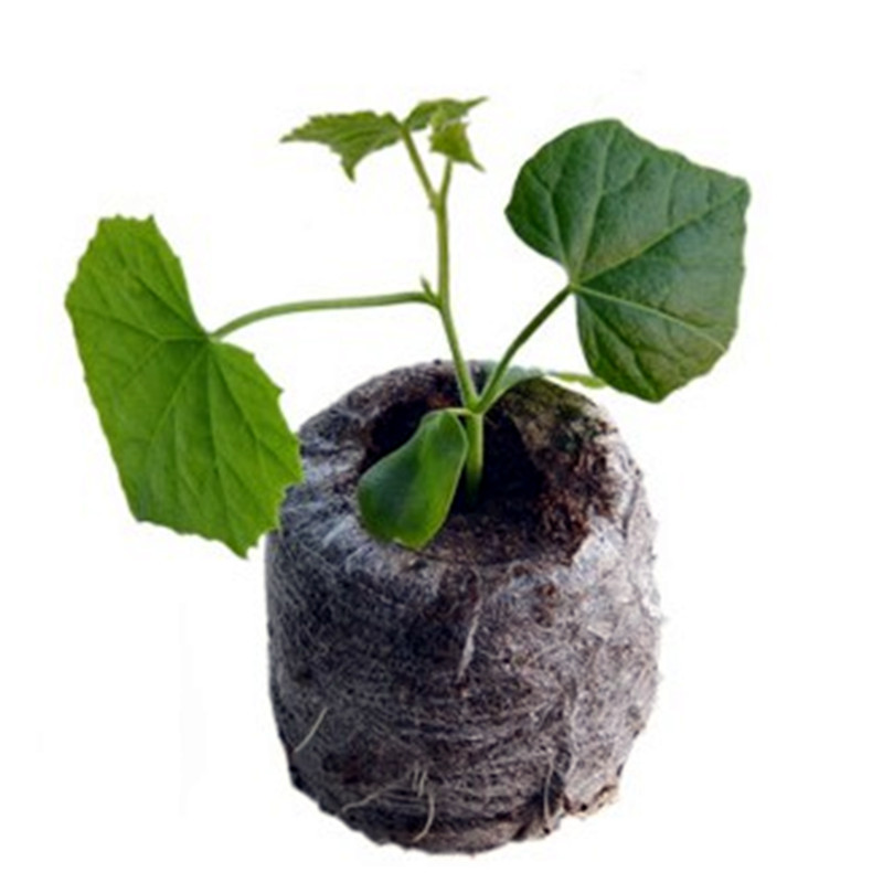 Direct selling 3cm-5cm seedling block nutrition block compression soil domestic Jiefei matrix block sowing seedling vegetables and fruits