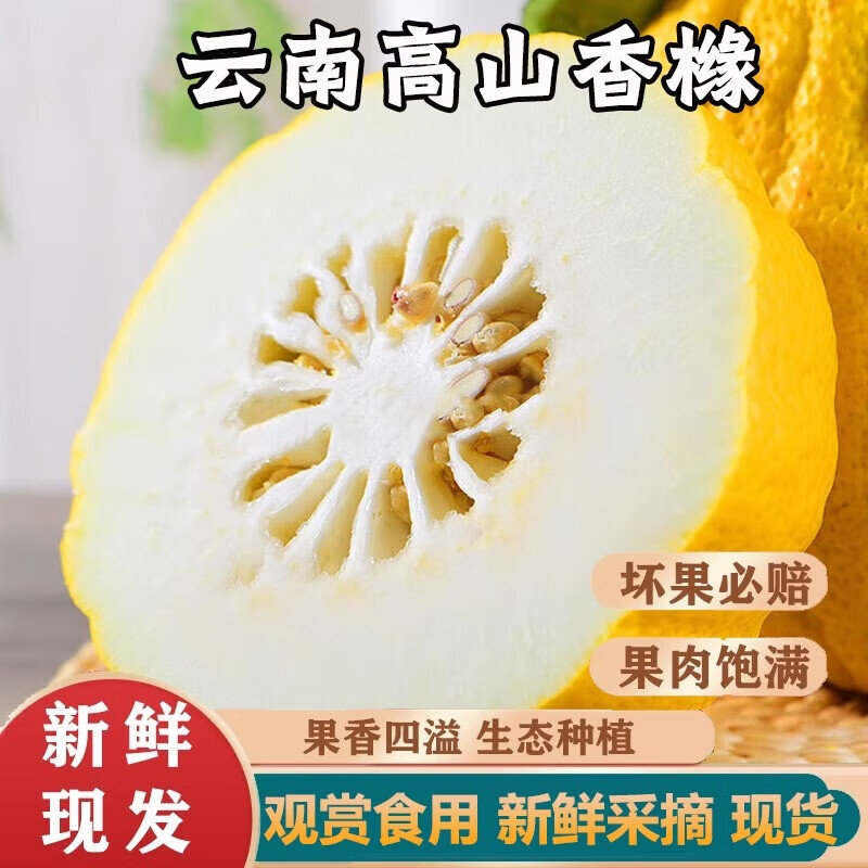 Fresh Citrus Medica Fruit from Yunnan, Large Citrus Medica Fruit, Fresh Citrus Medica Fruit, Bergamot Fruit, Farm-Grown Fresh Citrus Medica Fruit 2.5kg