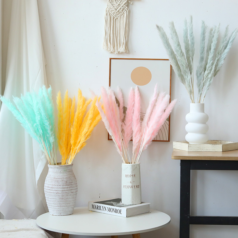 Wholesale Small Reed Everlasting Flowers, Bulrush Reeds, DIY Ornaments, Pampas Grass, Small Dusting Brushes, Dried Flowers, Air-Dried Plants