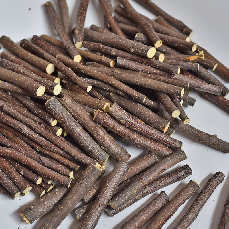 Rabbit Totoro Hamster Snack Branch Bite Wooden Toy Pet Grinding Stick Drying Apple Branch