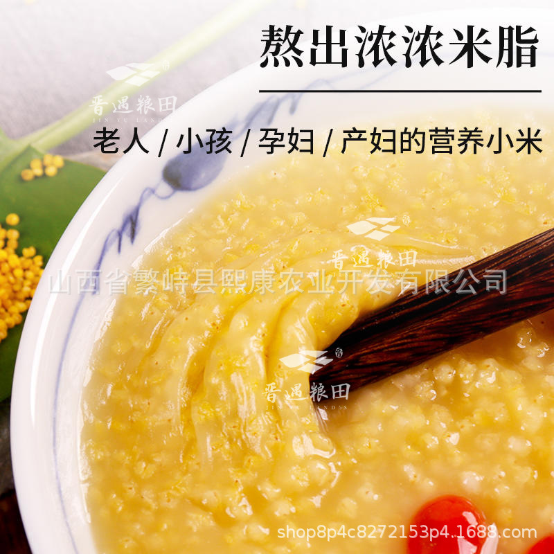 Shanxi millet new rice farm month millet sheep fat yellow millet authentic Jin gu 21 yellow millet own farm