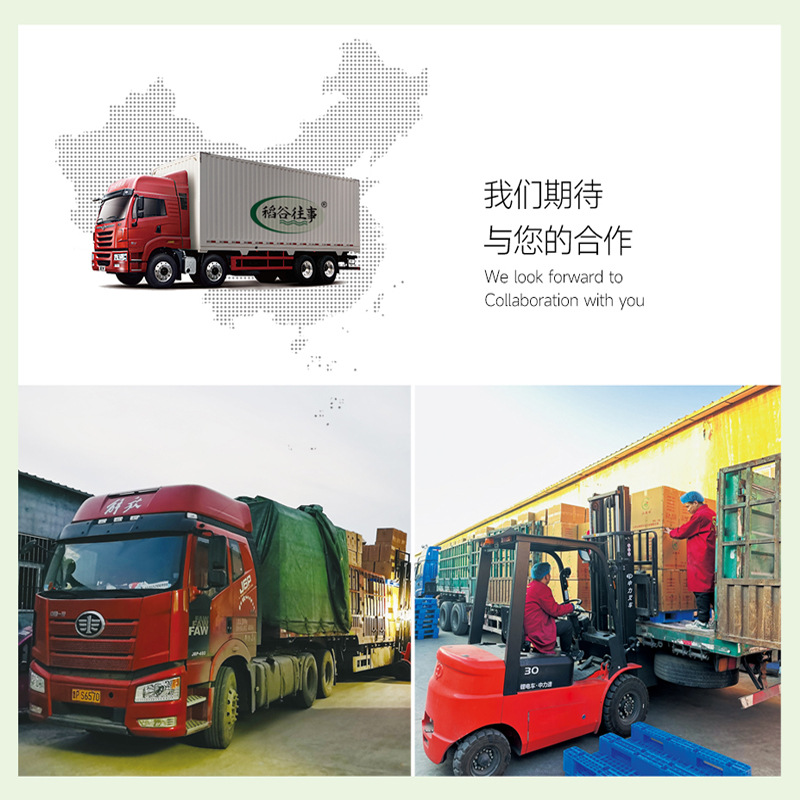 Grain gift box 250g * 10 bags of vacuum New Year gift company New Year welfare gift coarse grain gift box