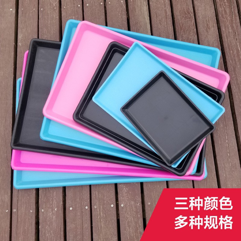 Лоток для питомцев