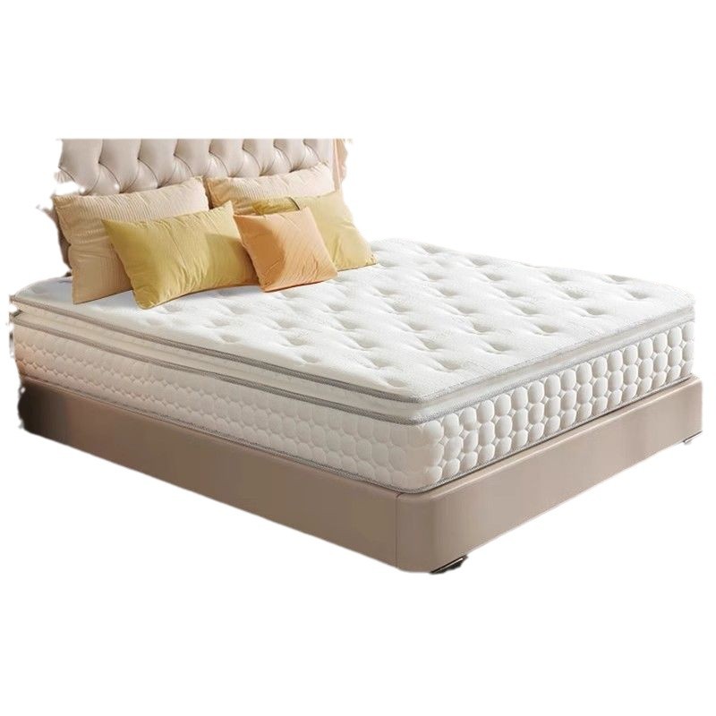 Simmons Independent Spring Cushioned Natural Latex Mattress Household 1.8 m Antibacterial Coconut Palm Five Star Hotel Mattress