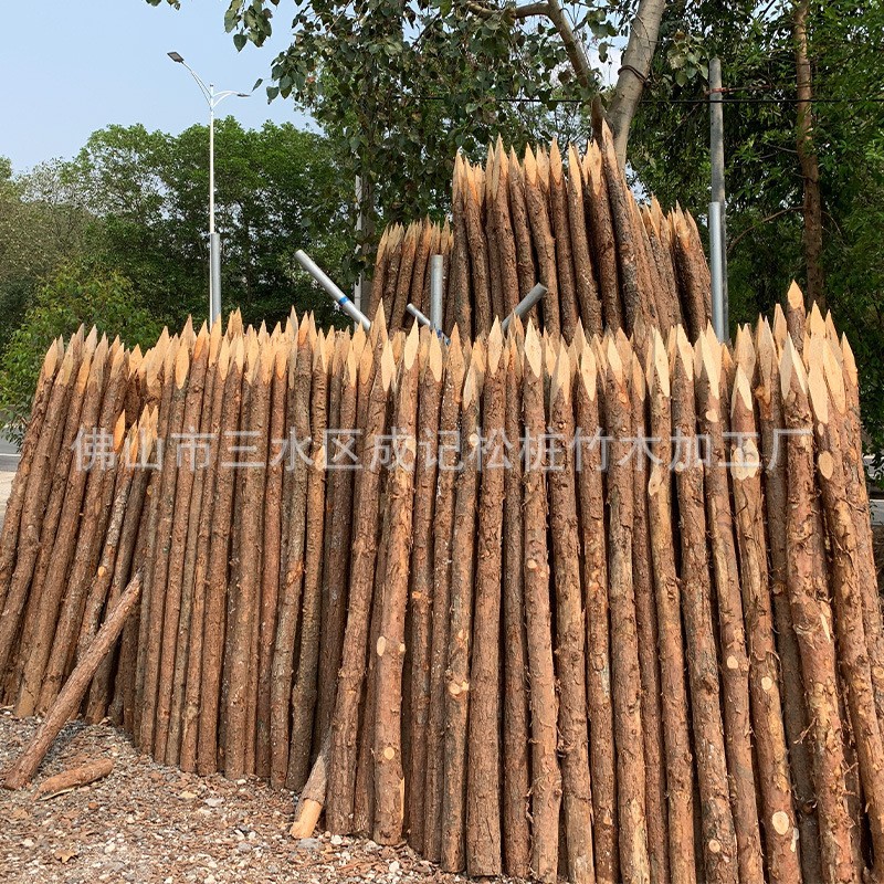 Pine pile flood control timber pile construction site river piling timber river bank flood control and flood control civil works greening support timber