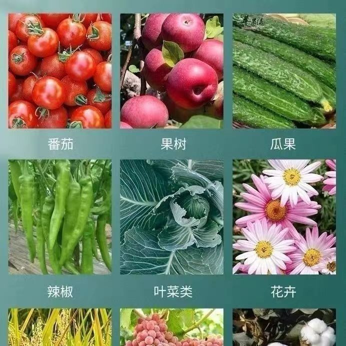 Granular Boron Trace Element Slow-Release Fertilizer for Vegetables, Fruits, Florals and Green Plants, Potted Gardening General Fertilizer, Factory Direct Supply