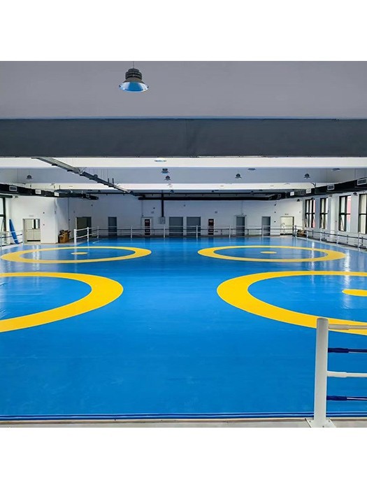Wrestling Mat Competition Training Mat Xpe Sanda Martial Arts Fighting Practice Freestyle Wrestling Mat Wrestling Venue Cover Sheet