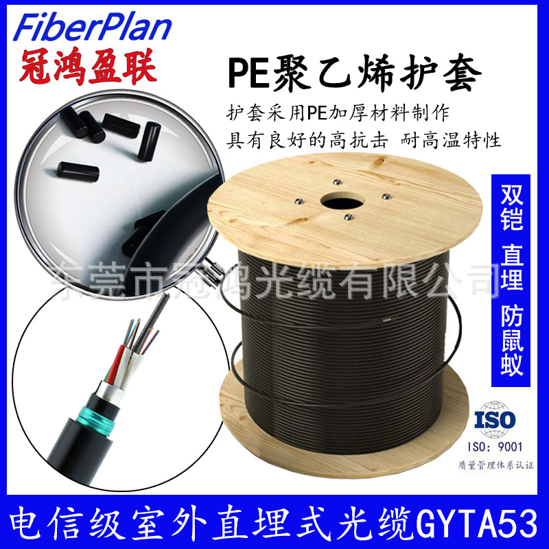 Super Strong Anti-Rat Bite Outdoor Gyta33 Gyta34 12 24 36 48 Core Armored Optical Fiber Cable