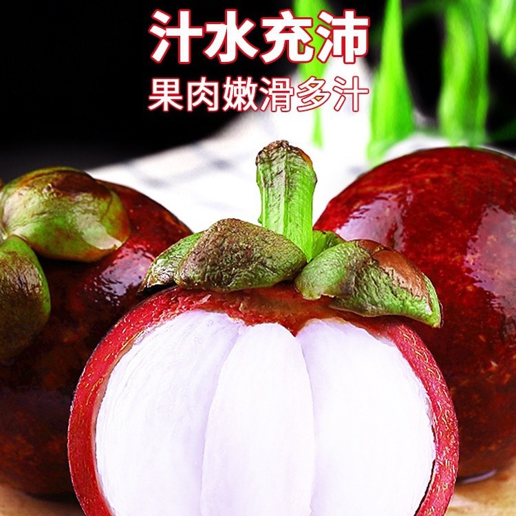 Taishan Bamboo Fresh Big Fruit 2.5kg Seasonal Tropical Fruit Whole Box Pregnant Women Seasonal Imported Oil Bamboo 5A Direct Sales